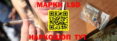 прущие грибы Братск