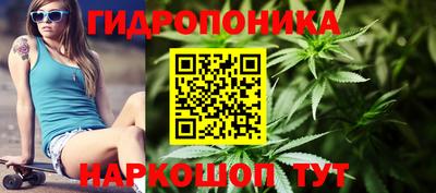 прущие грибы Братск