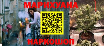 прущие грибы Братск